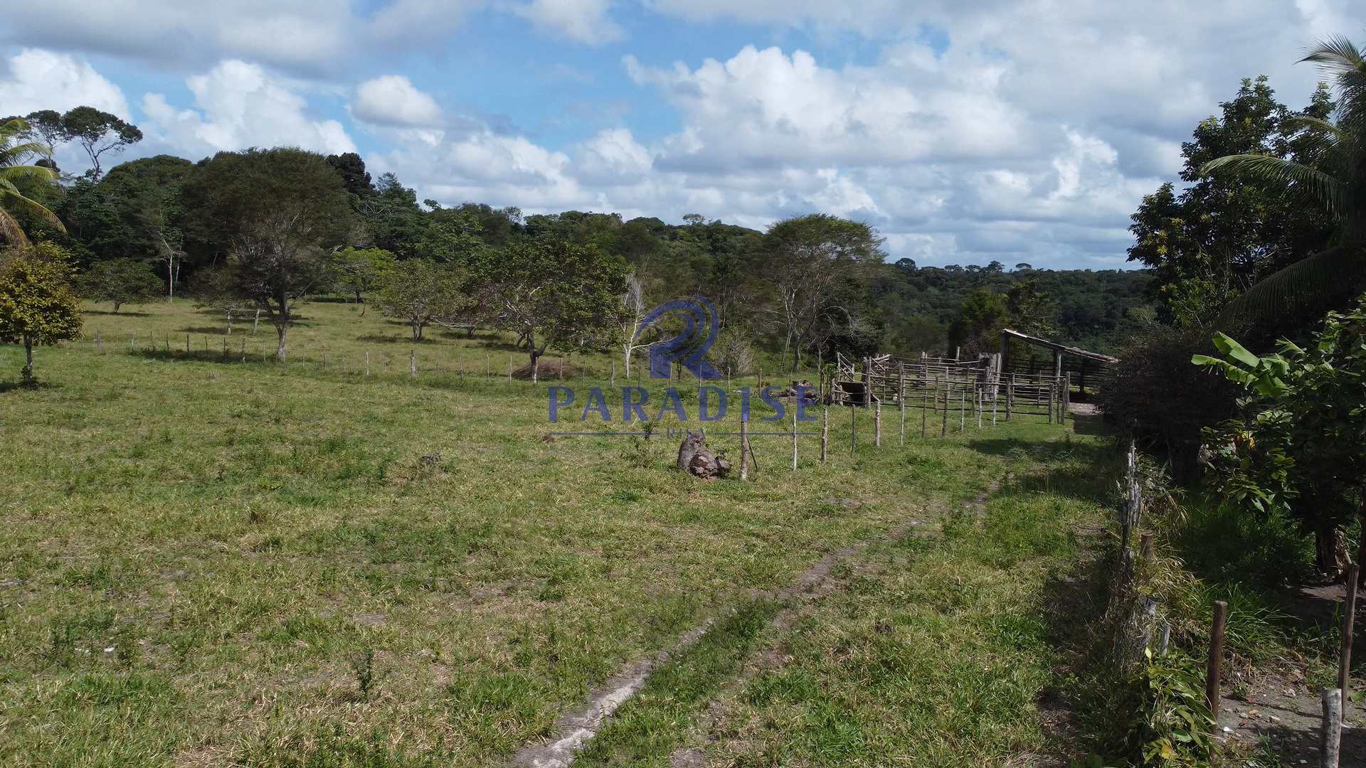 Fazenda à venda, 156000m² - Foto 12