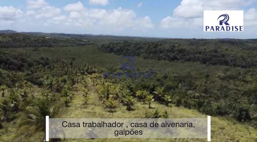 Fazenda-Sítio-Chácara, 30 hectares - Foto 4