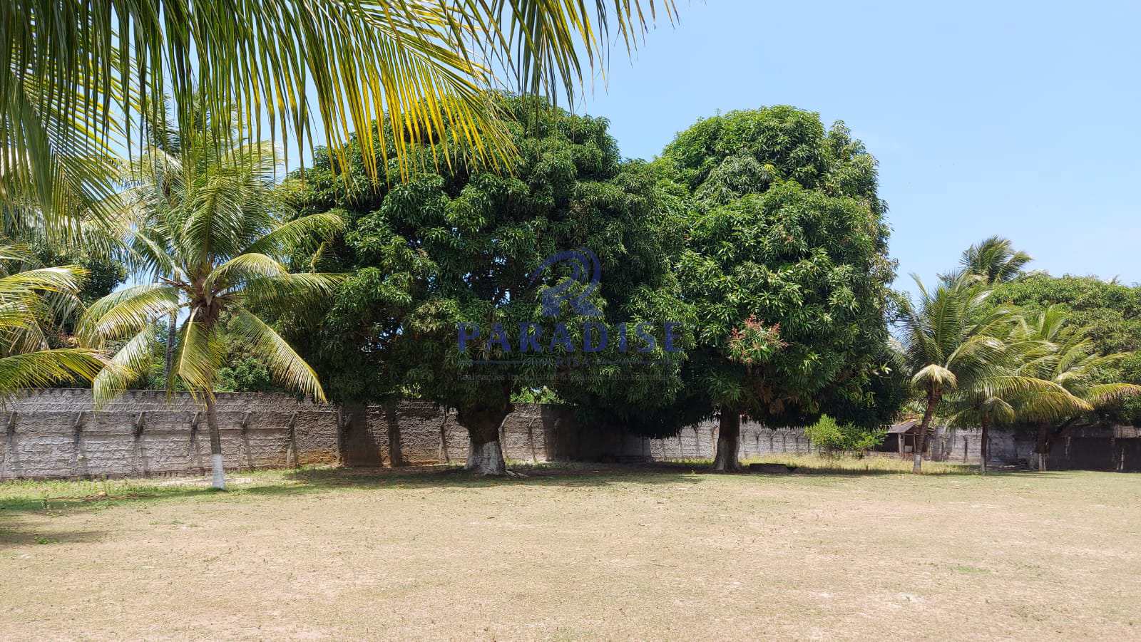 Fazenda à venda, 6800m² - Foto 7