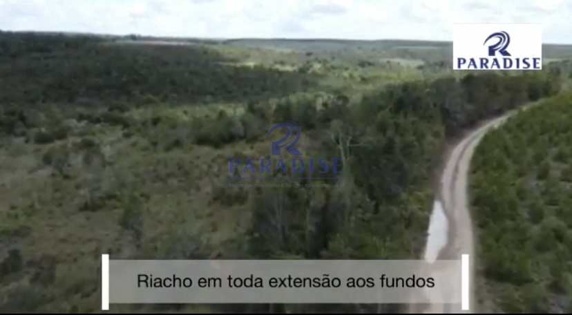 Fazenda-Sítio-Chácara, 31 hectares - Foto 2