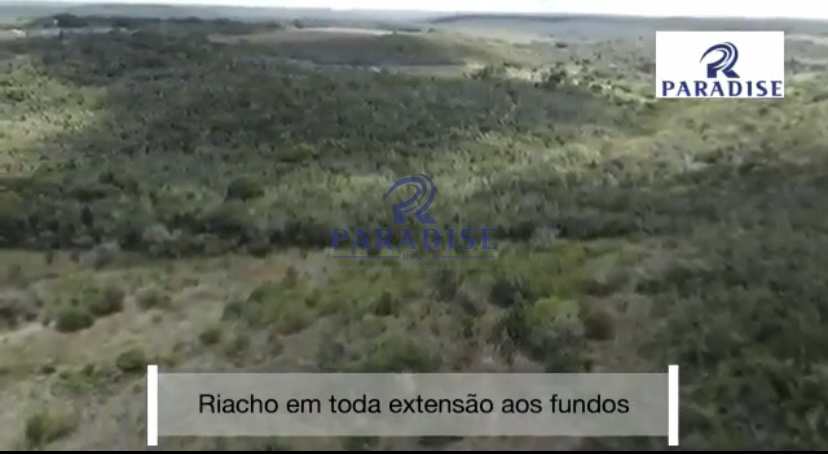 Fazenda-Sítio-Chácara, 31 hectares - Foto 1