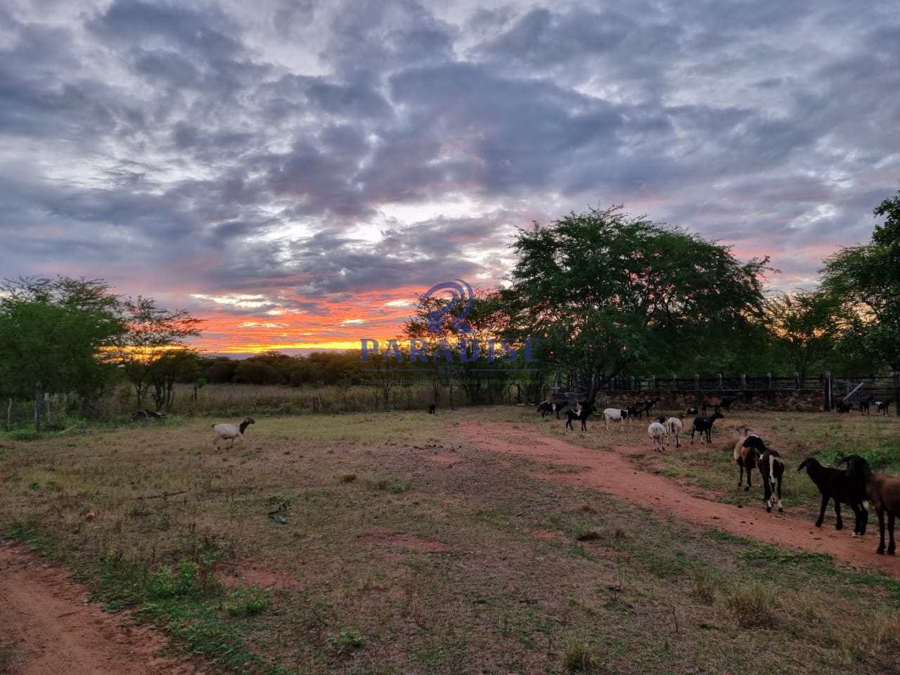 Fazenda à venda, 2551000m² - Foto 2