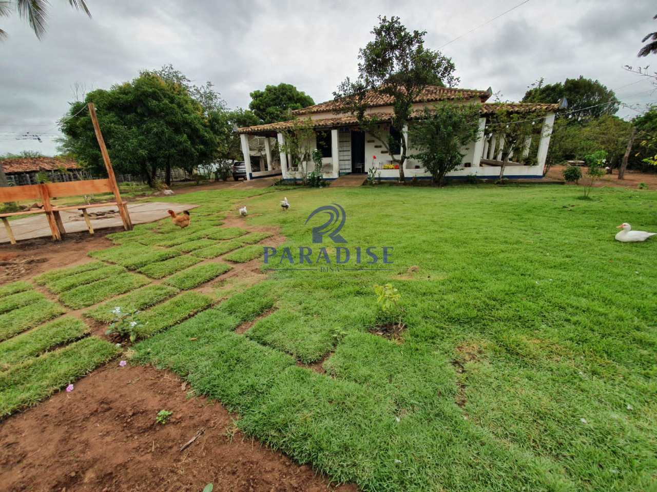 Fazenda à venda, 2551000m² - Foto 15