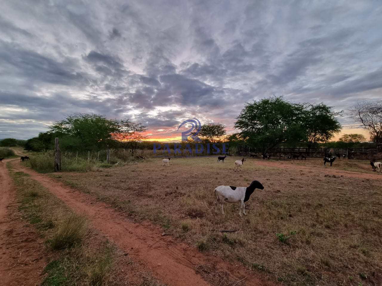 Fazenda à venda, 2551000m² - Foto 1