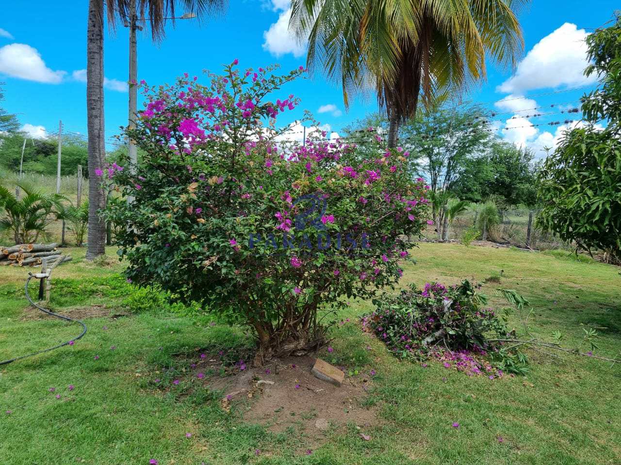 Fazenda à venda, 2551000m² - Foto 10