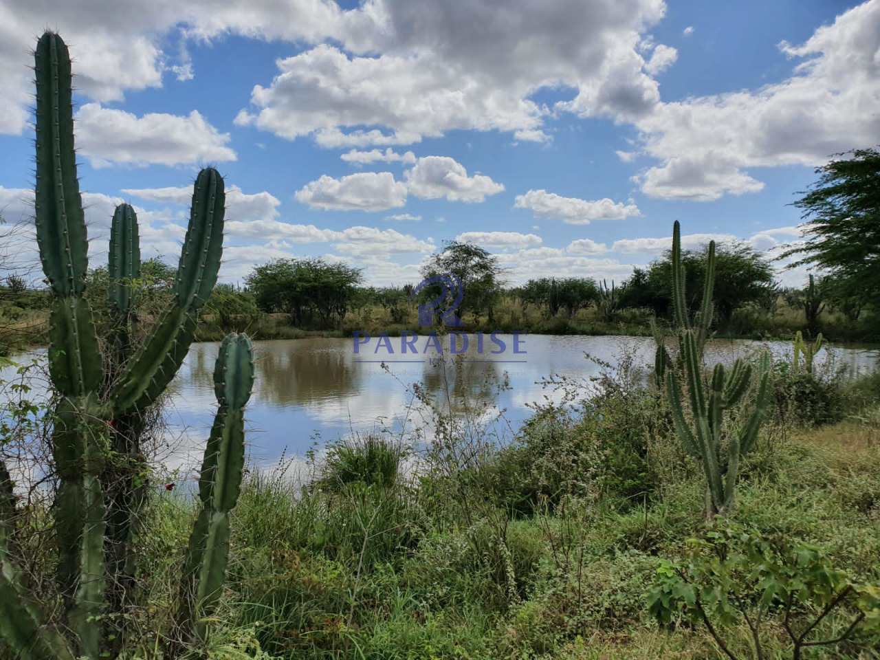 Fazenda à venda, 2551000m² - Foto 11