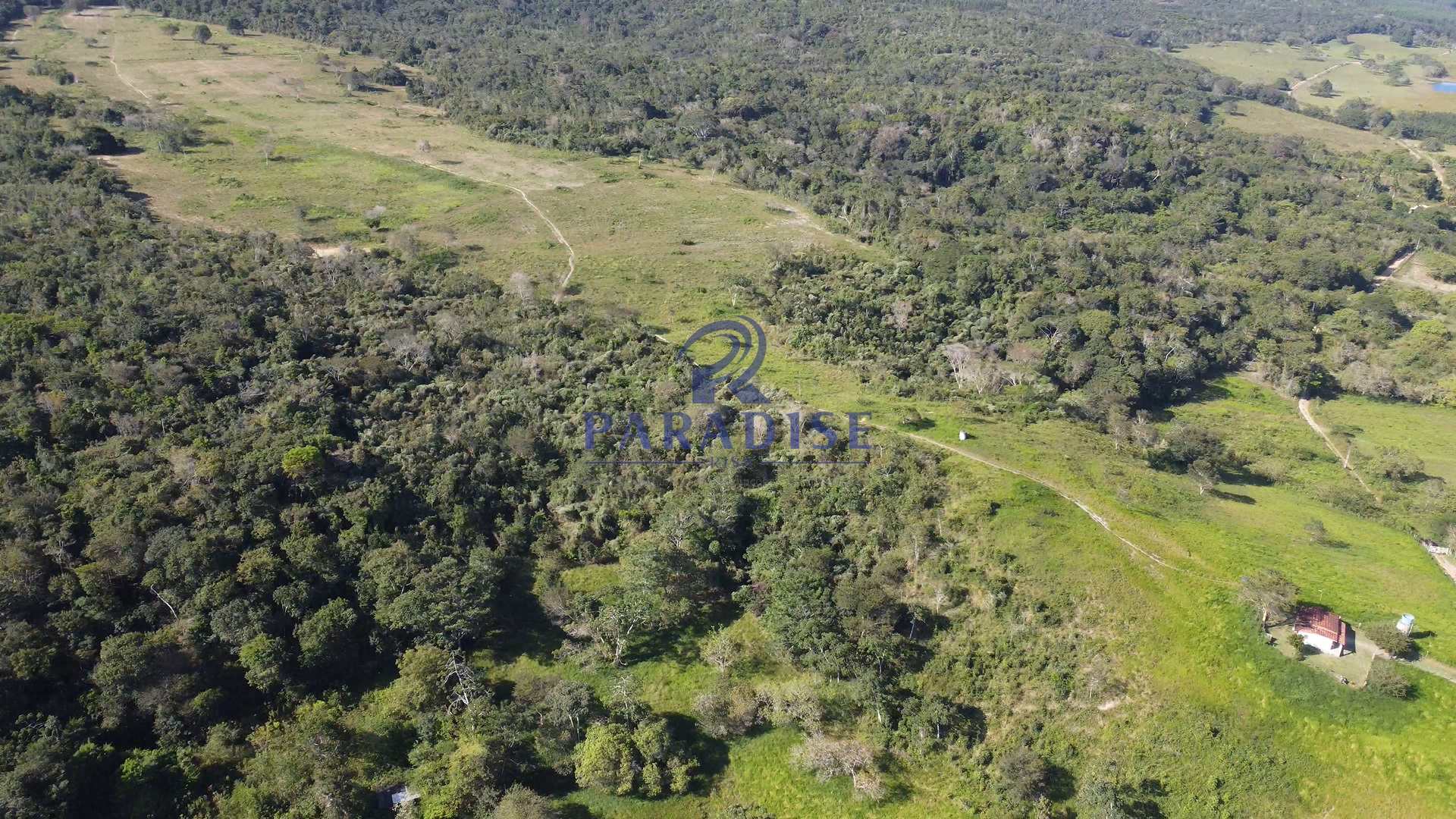 Fazenda à venda, 590000m² - Foto 6