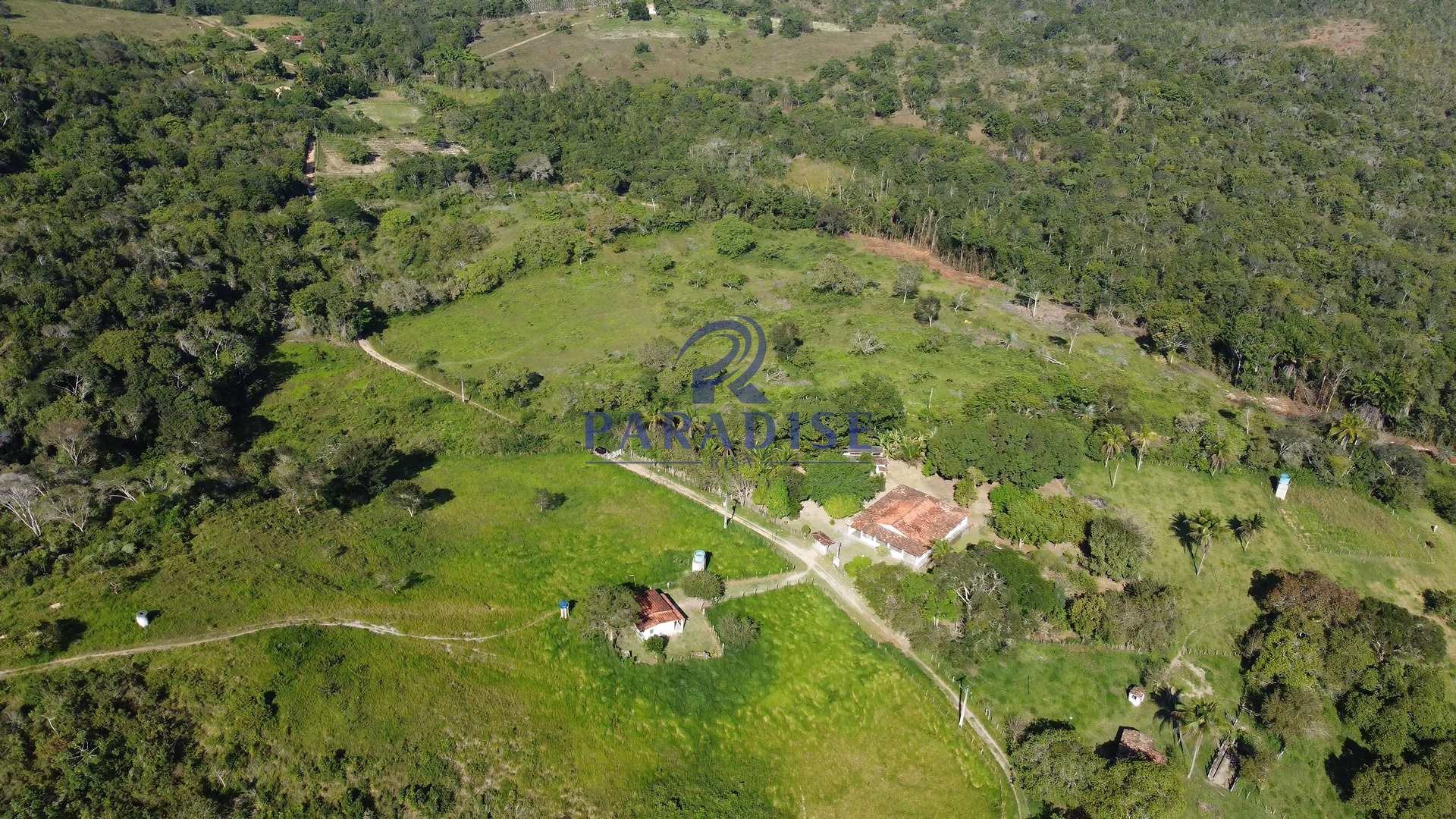 Fazenda-Sítio-Chácara, 59 hectares - Foto 3
