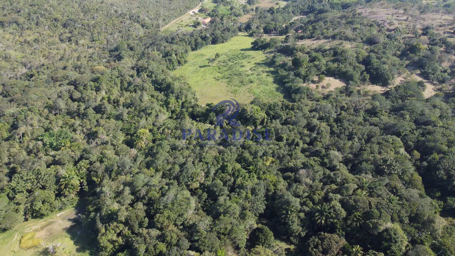 Fazenda à venda, 590000m² - Foto 5