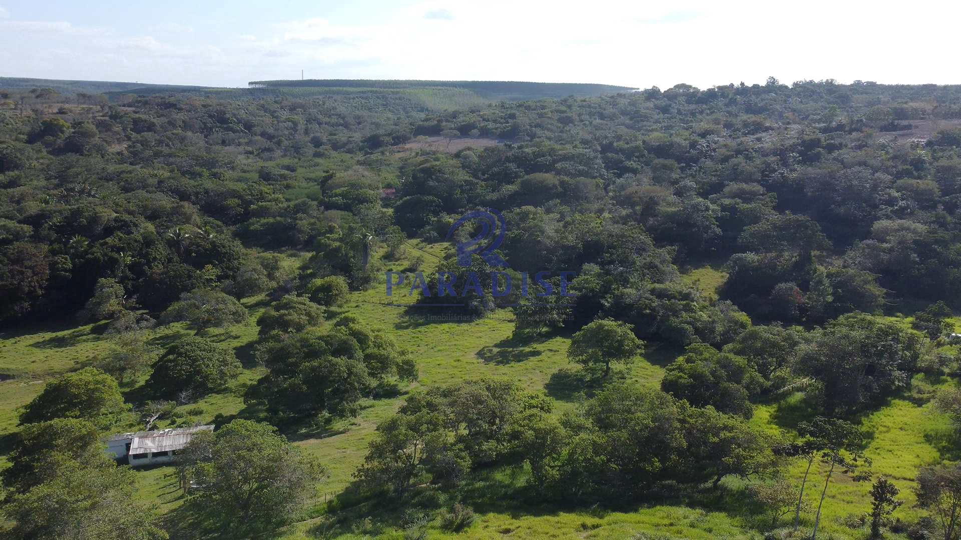 Fazenda à venda, 590000m² - Foto 14