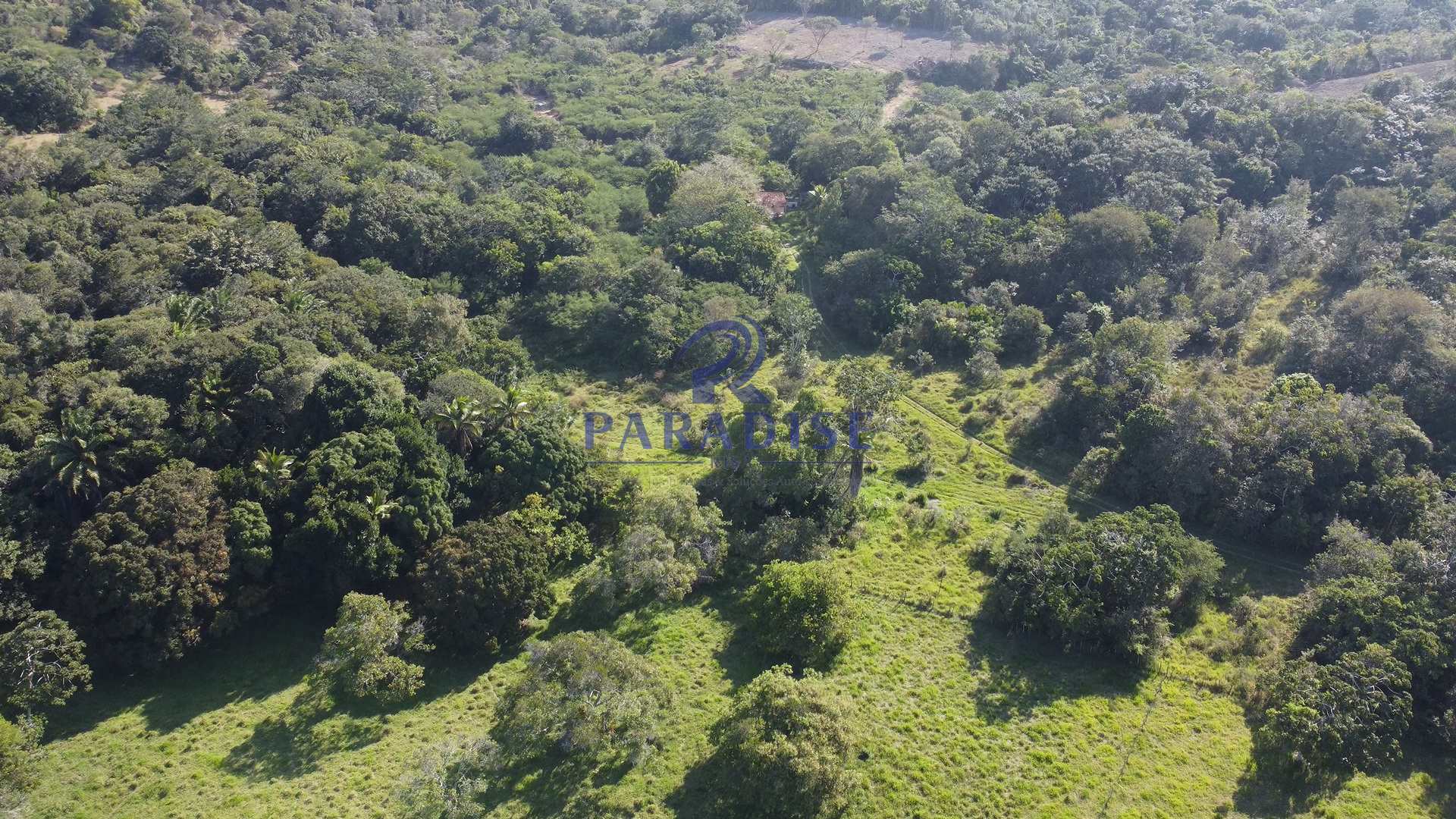 Fazenda à venda, 590000m² - Foto 9