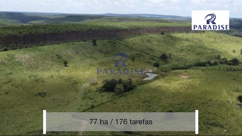 Fazenda à venda, 766000m² - Foto 10