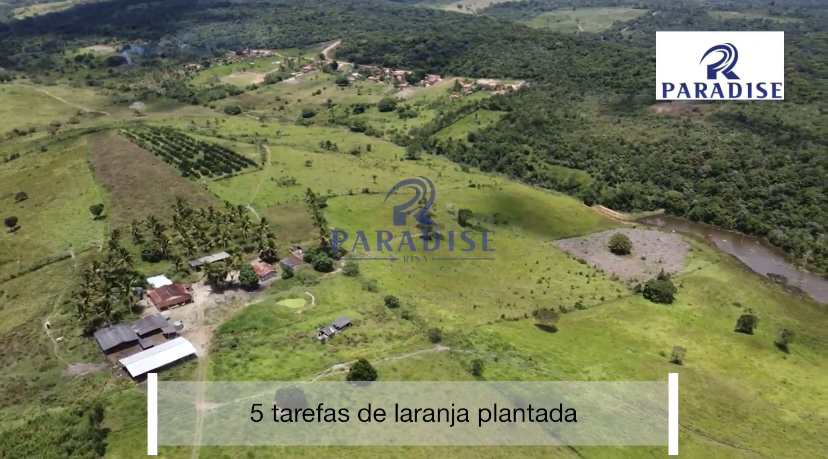 Fazenda à venda, 766000m² - Foto 16