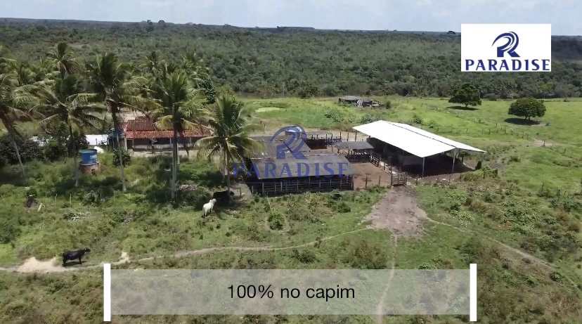 Fazenda à venda, 766000m² - Foto 7