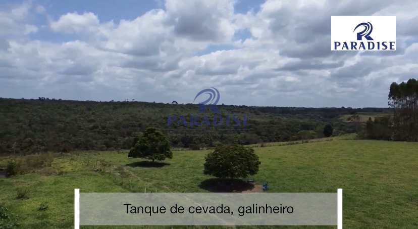 Fazenda-Sítio-Chácara, 77 hectares - Foto 4