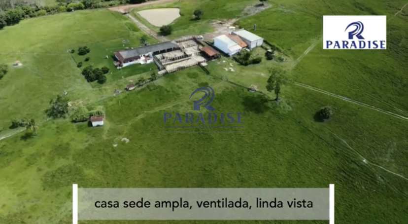 Fazenda-Sítio-Chácara, 1000 hectares - Foto 3