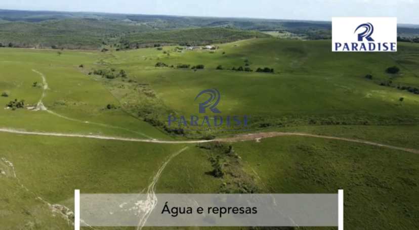 Fazenda-Sítio-Chácara, 1000 hectares - Foto 2