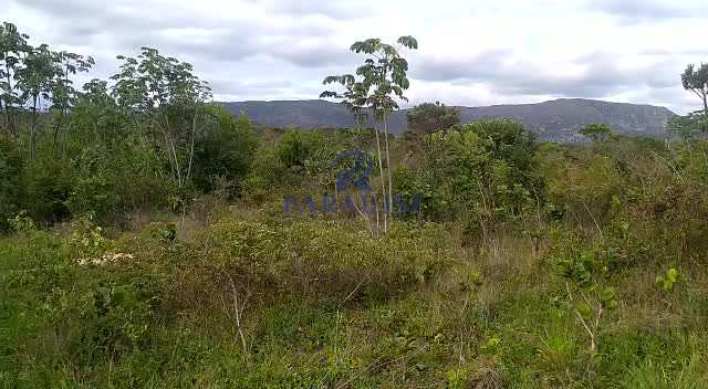 Fazenda à venda, 3094000m² - Foto 39