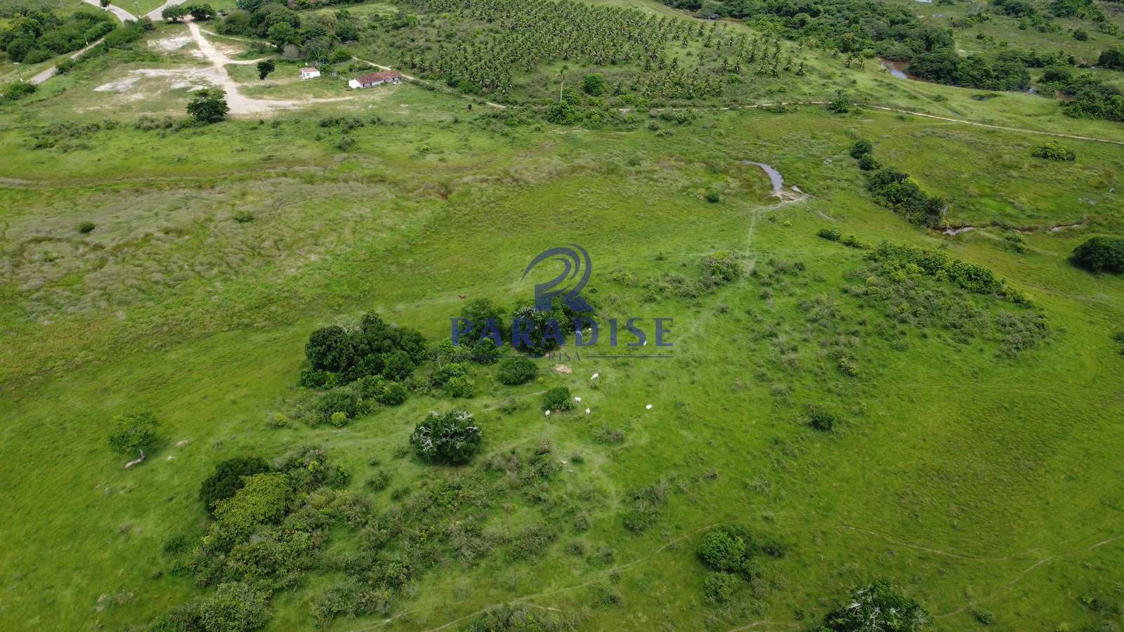 Fazenda à venda, 2114000m² - Foto 9