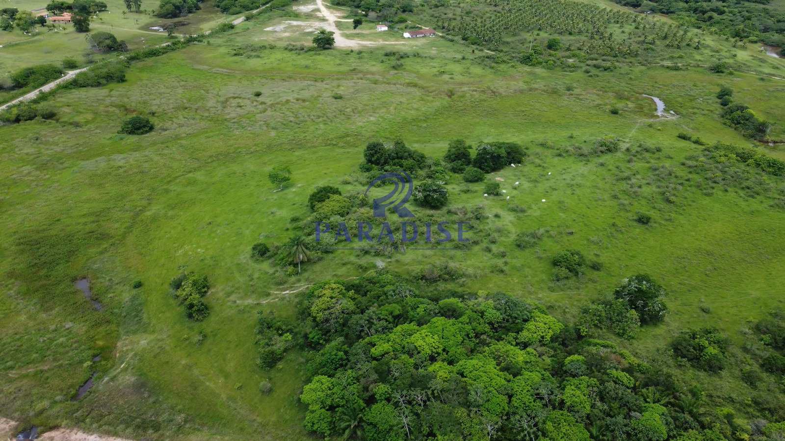 Fazenda à venda, 2114000m² - Foto 8