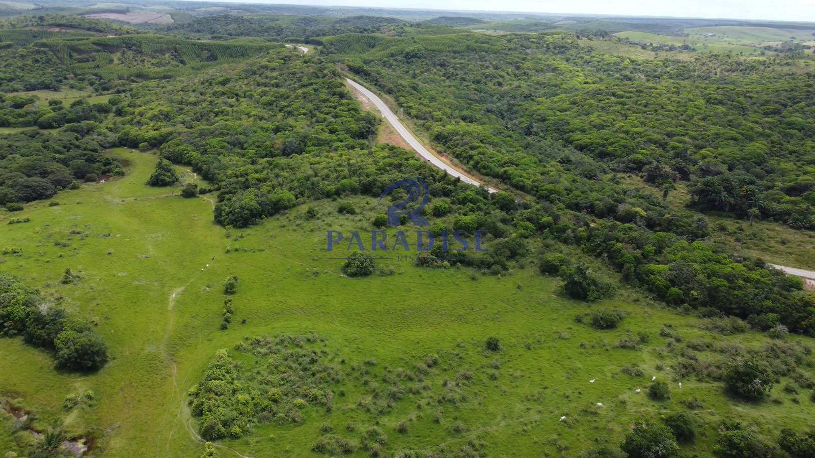 Fazenda-Sítio-Chácara, 211 hectares - Foto 3