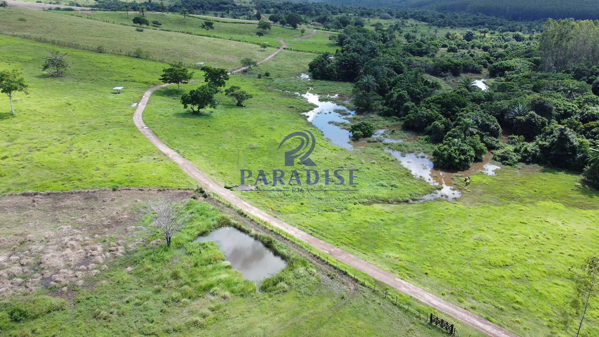 Fazenda à venda, 9750000m² - Foto 8