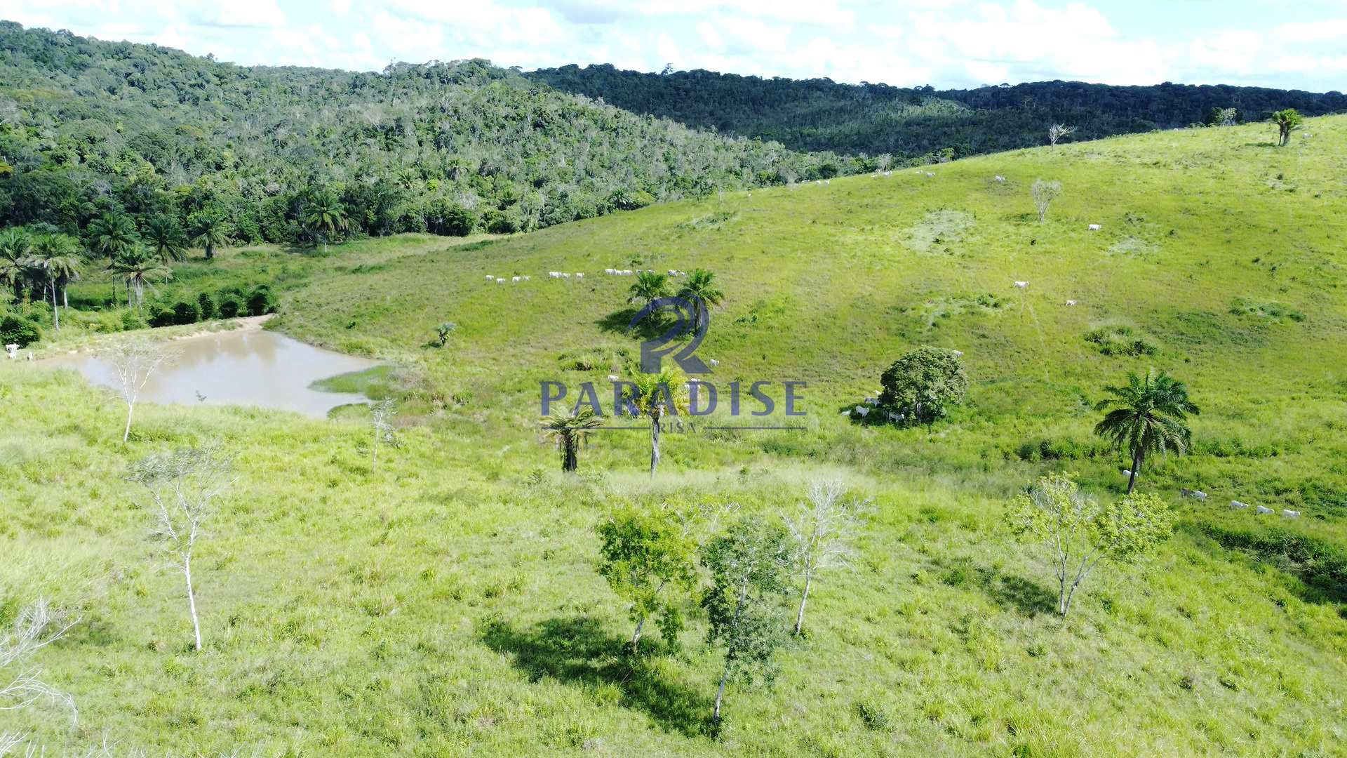 Fazenda à venda, 9750000m² - Foto 17