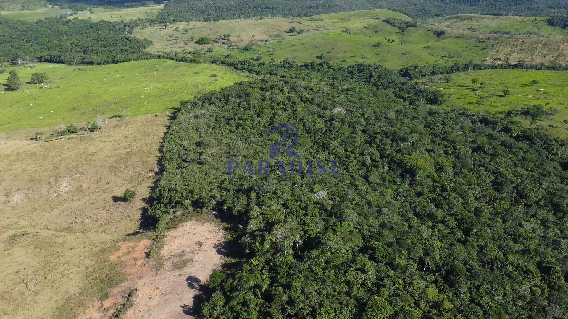 Fazenda à venda, 9750000m² - Foto 36