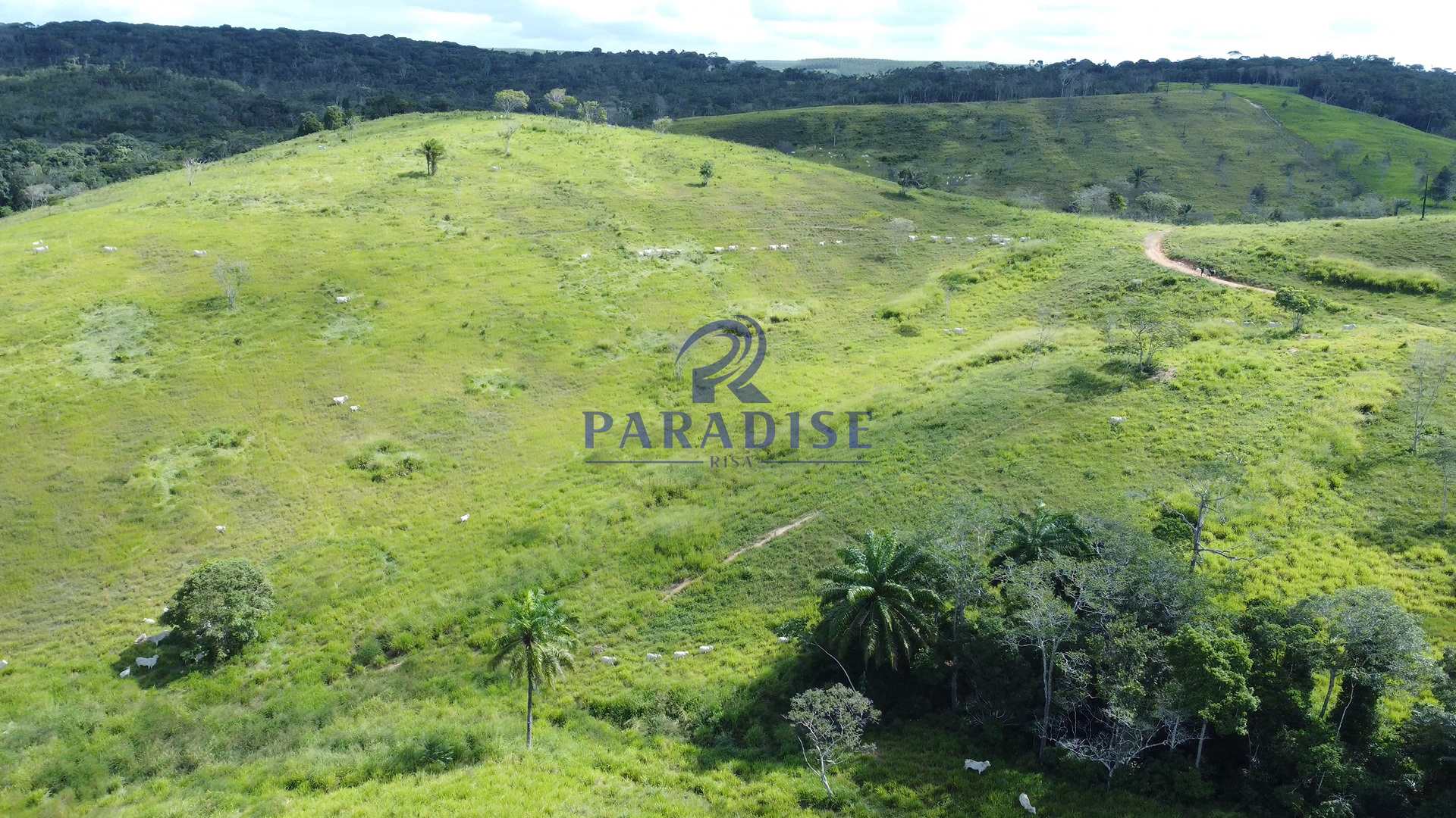 Fazenda à venda, 9750000m² - Foto 18