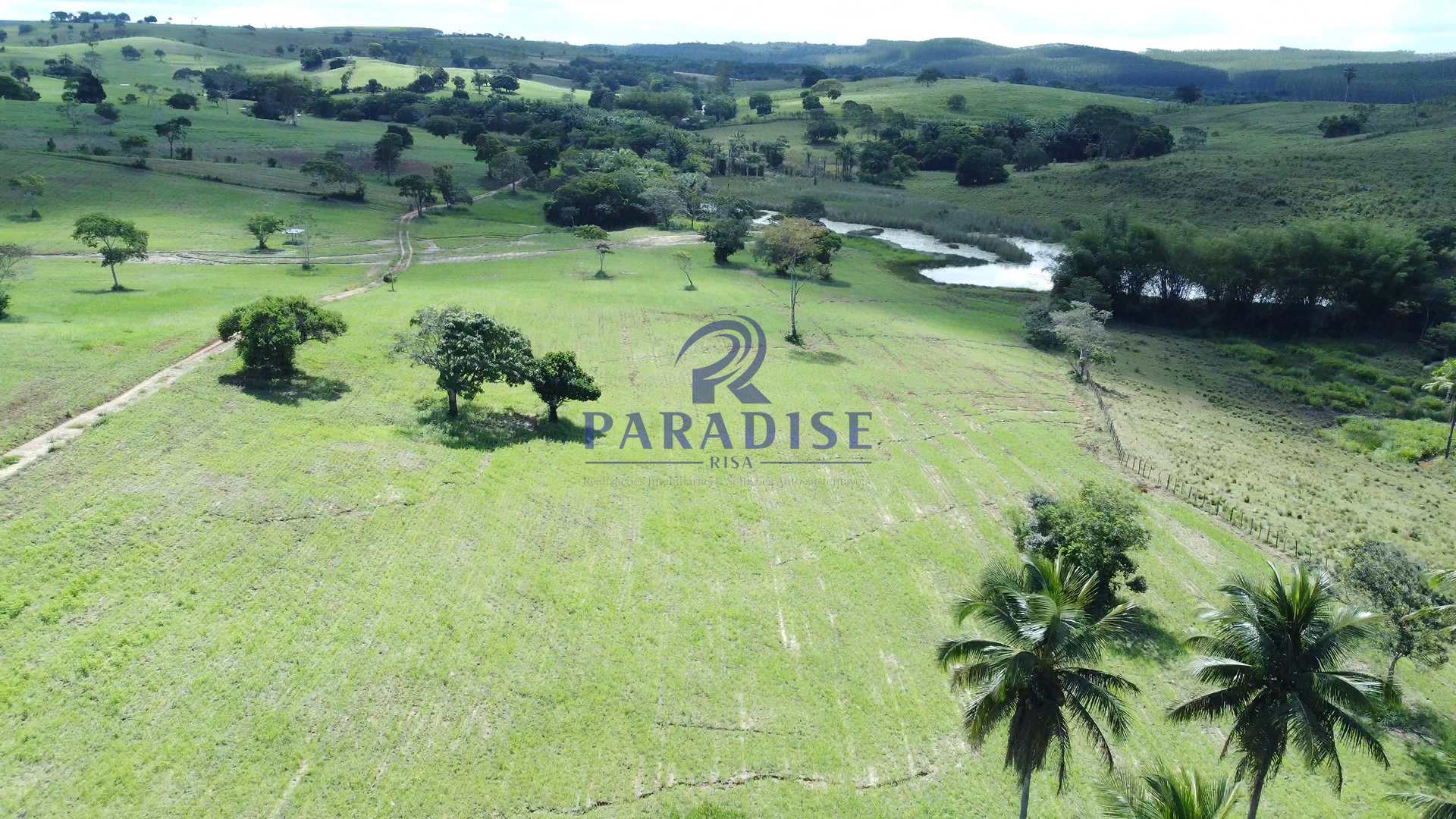 Fazenda à venda, 9750000m² - Foto 12