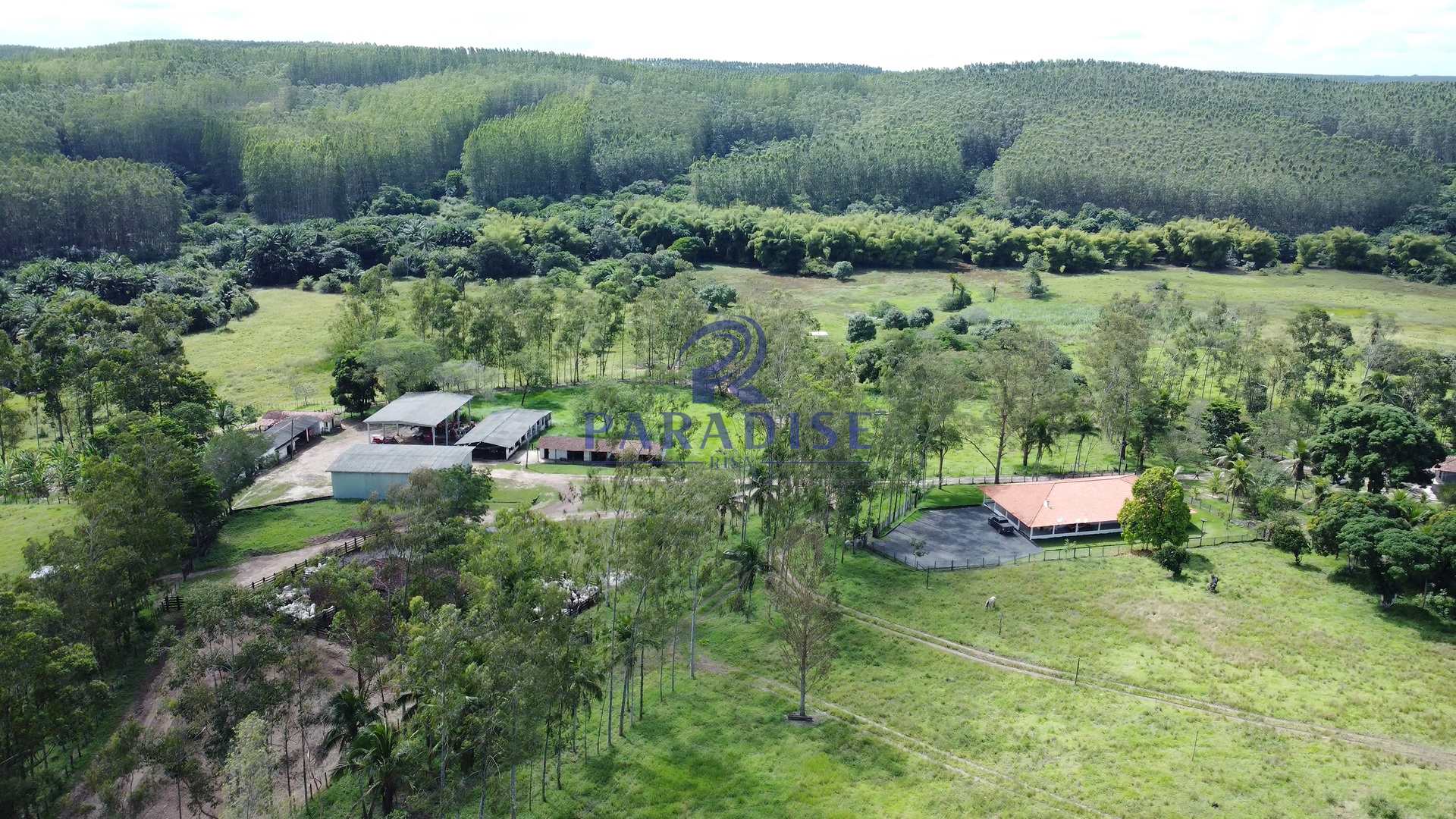 Fazenda à venda, 9750000m² - Foto 48