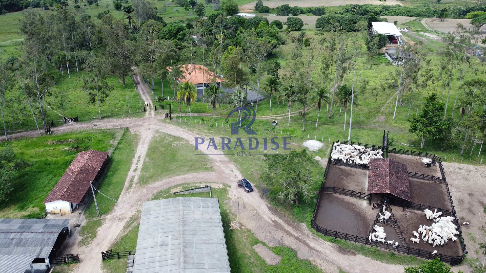 Fazenda à venda, 9750000m² - Foto 46