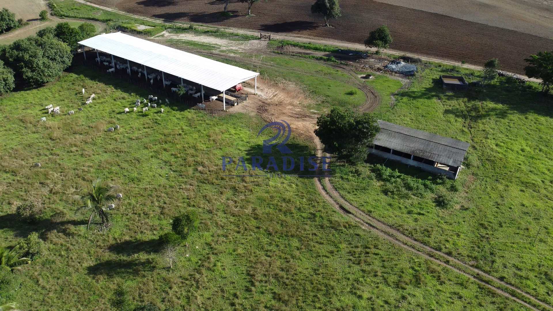 Fazenda à venda, 9750000m² - Foto 47