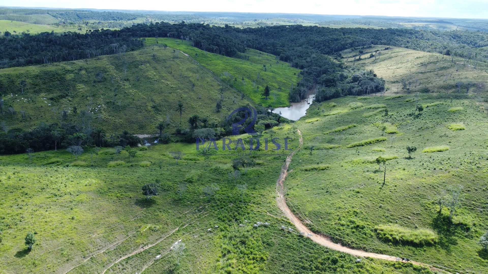 Fazenda à venda, 9750000m² - Foto 19