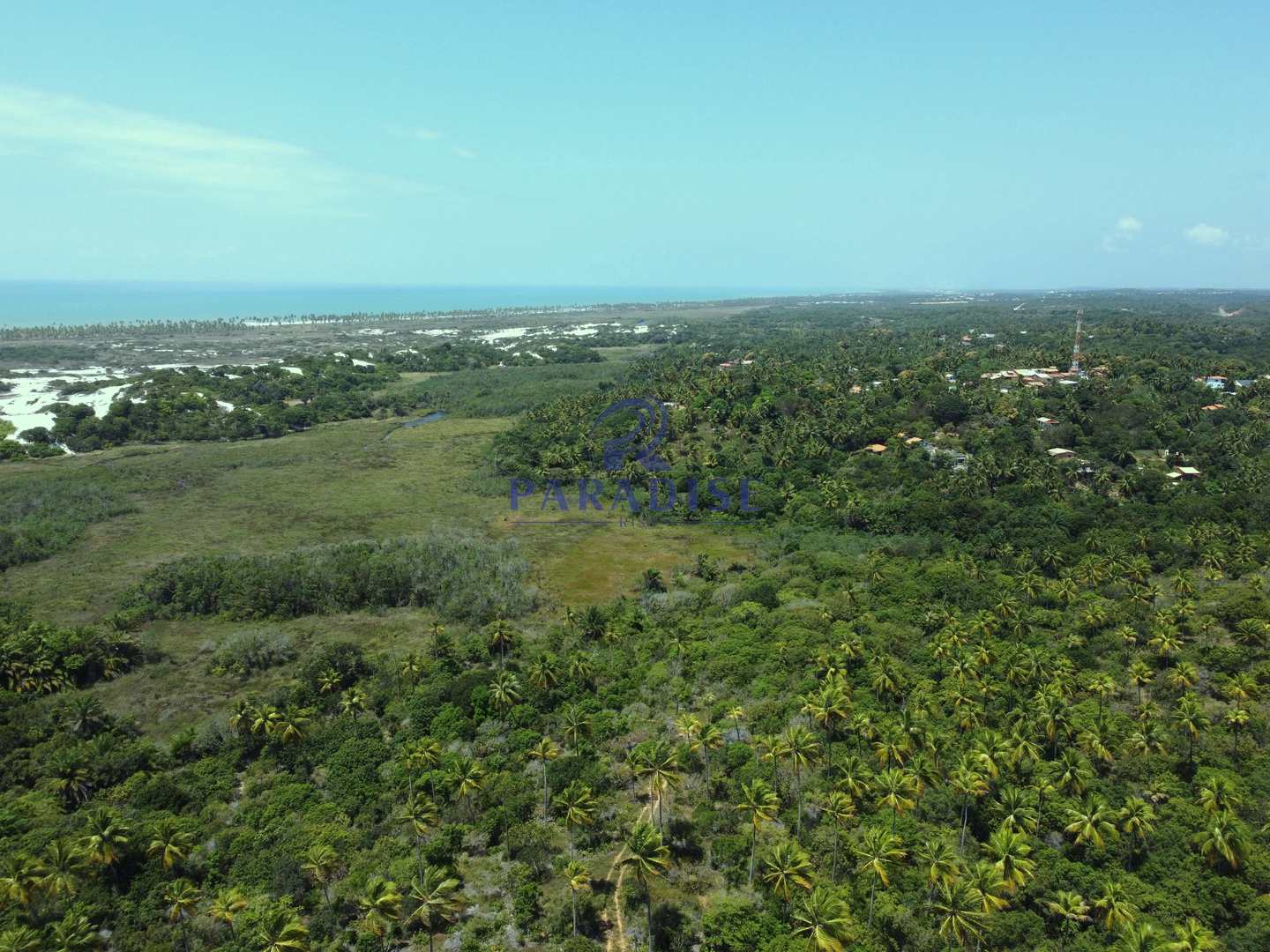 Terreno à venda, 6000m² - Foto 13