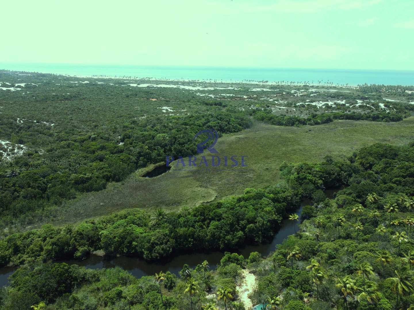 Terreno à venda, 6000m² - Foto 7