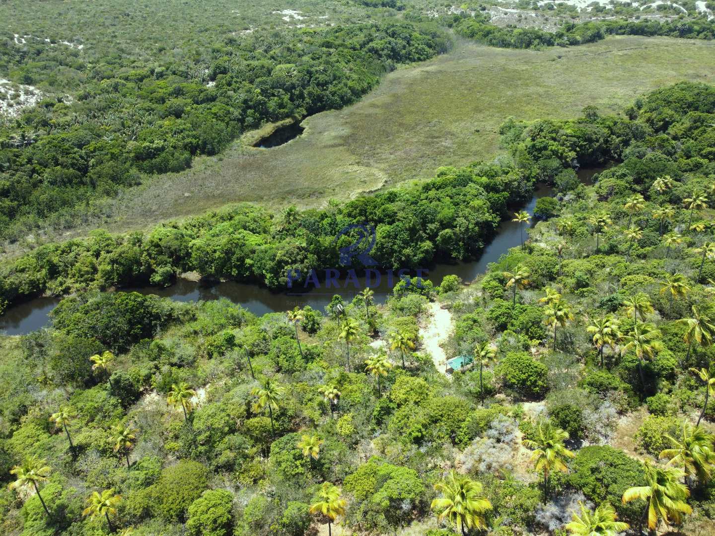 Terreno à venda, 6000m² - Foto 6