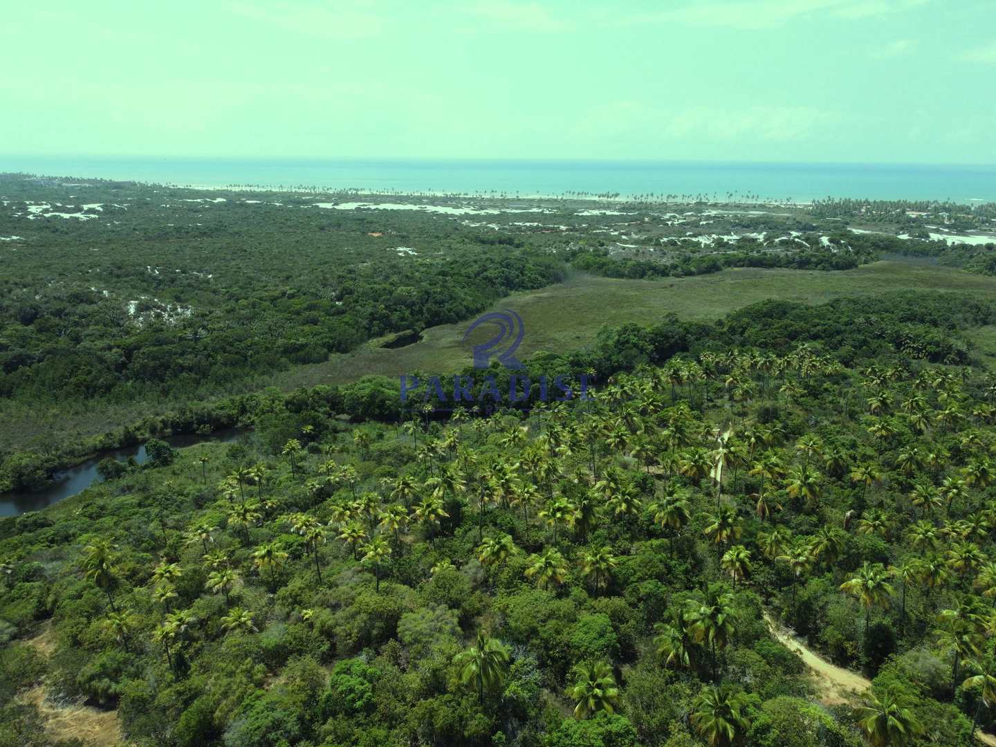 Terreno à venda, 6000m² - Foto 9