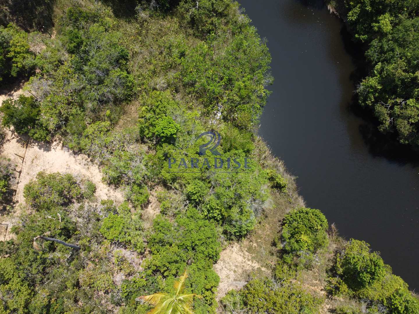 Terreno à venda, 6000m² - Foto 16