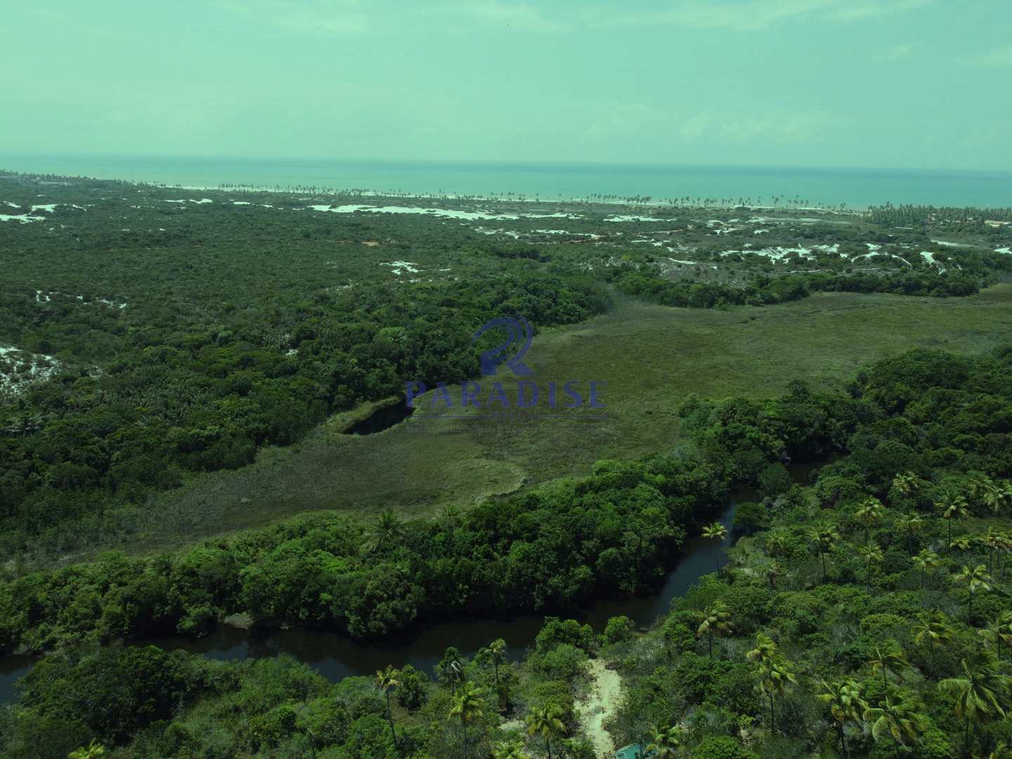 Terreno à venda, 6000m² - Foto 8