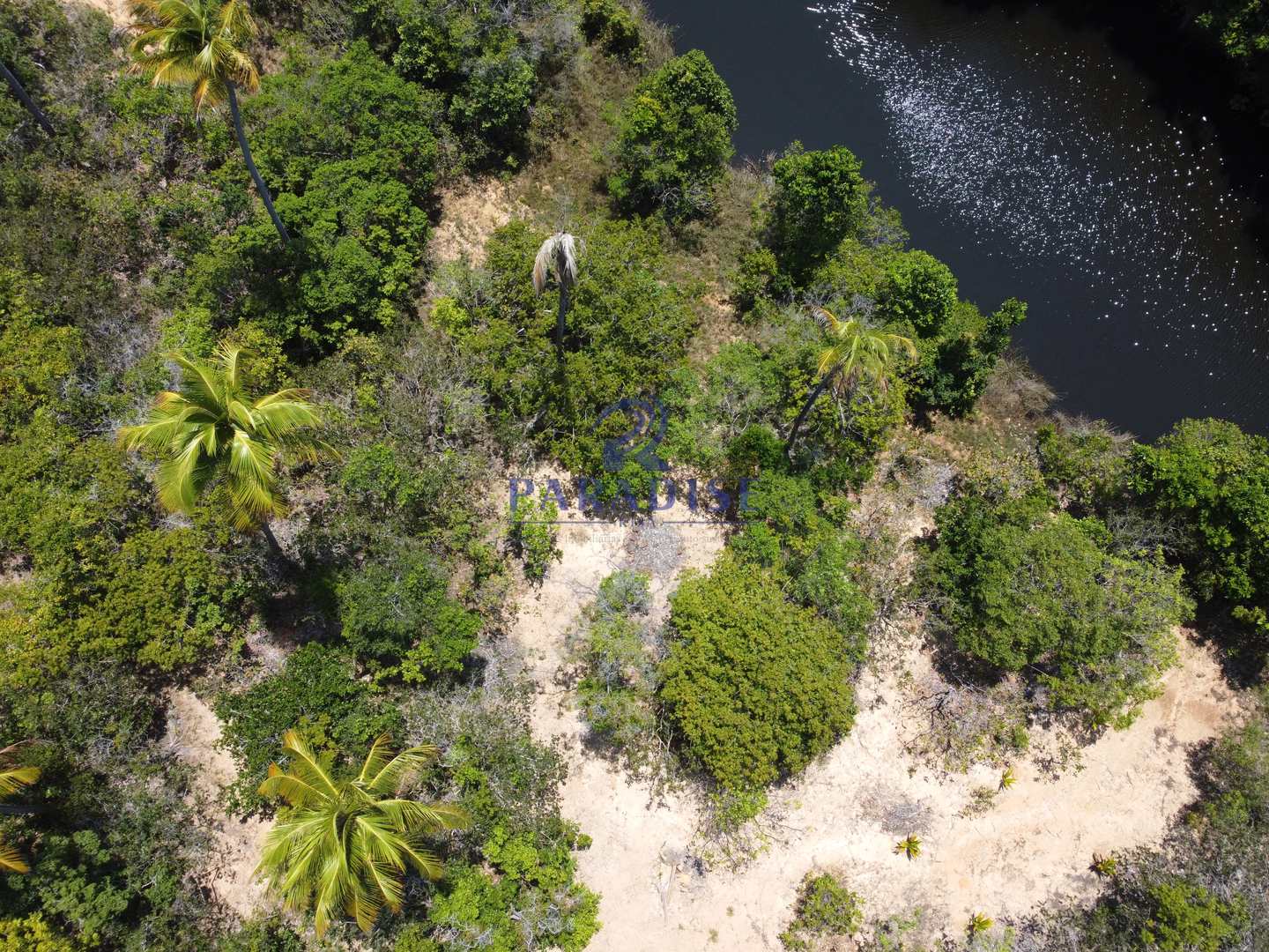 Terreno à venda, 6000m² - Foto 4