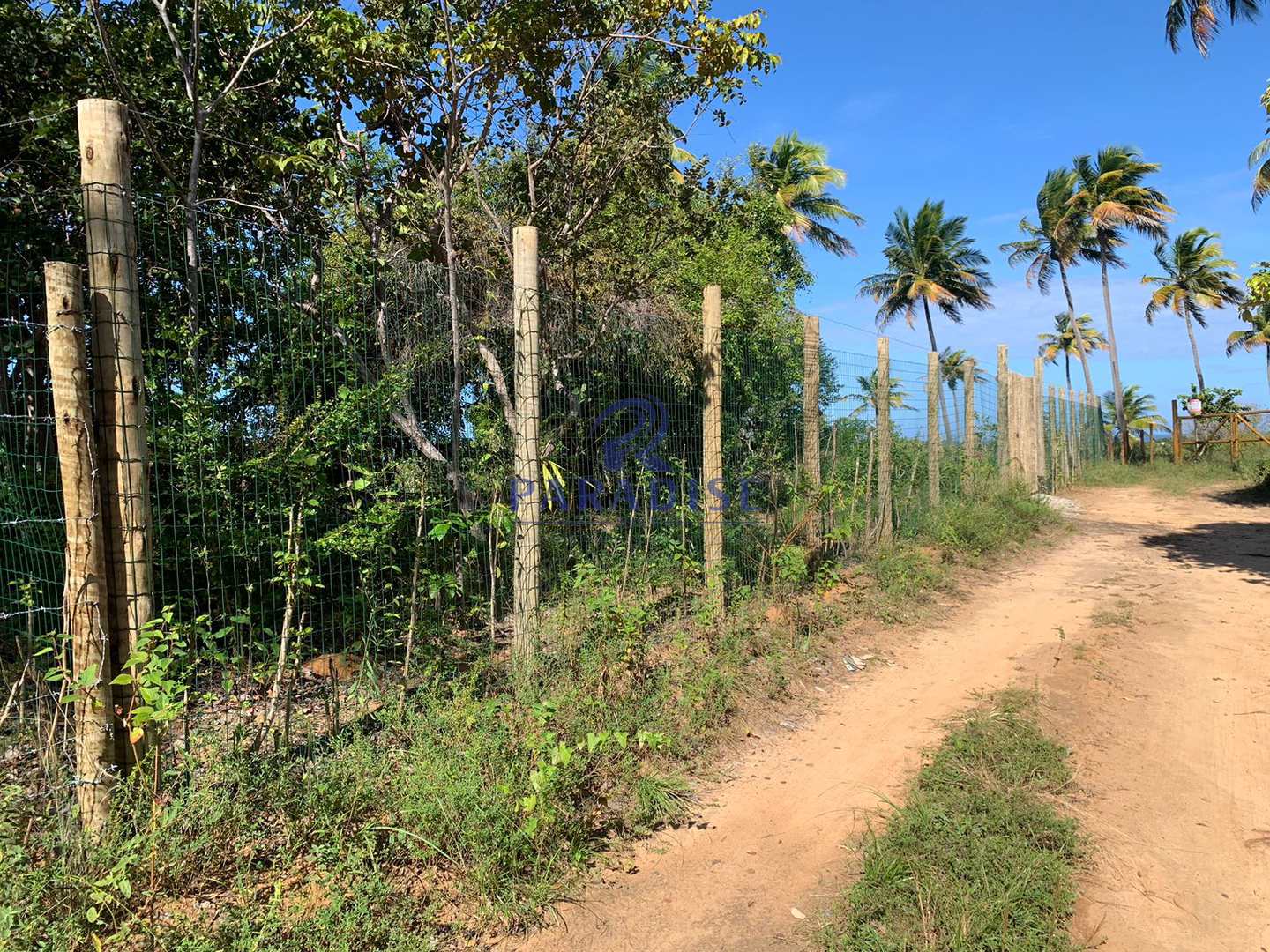 Terreno à venda, 6000m² - Foto 30