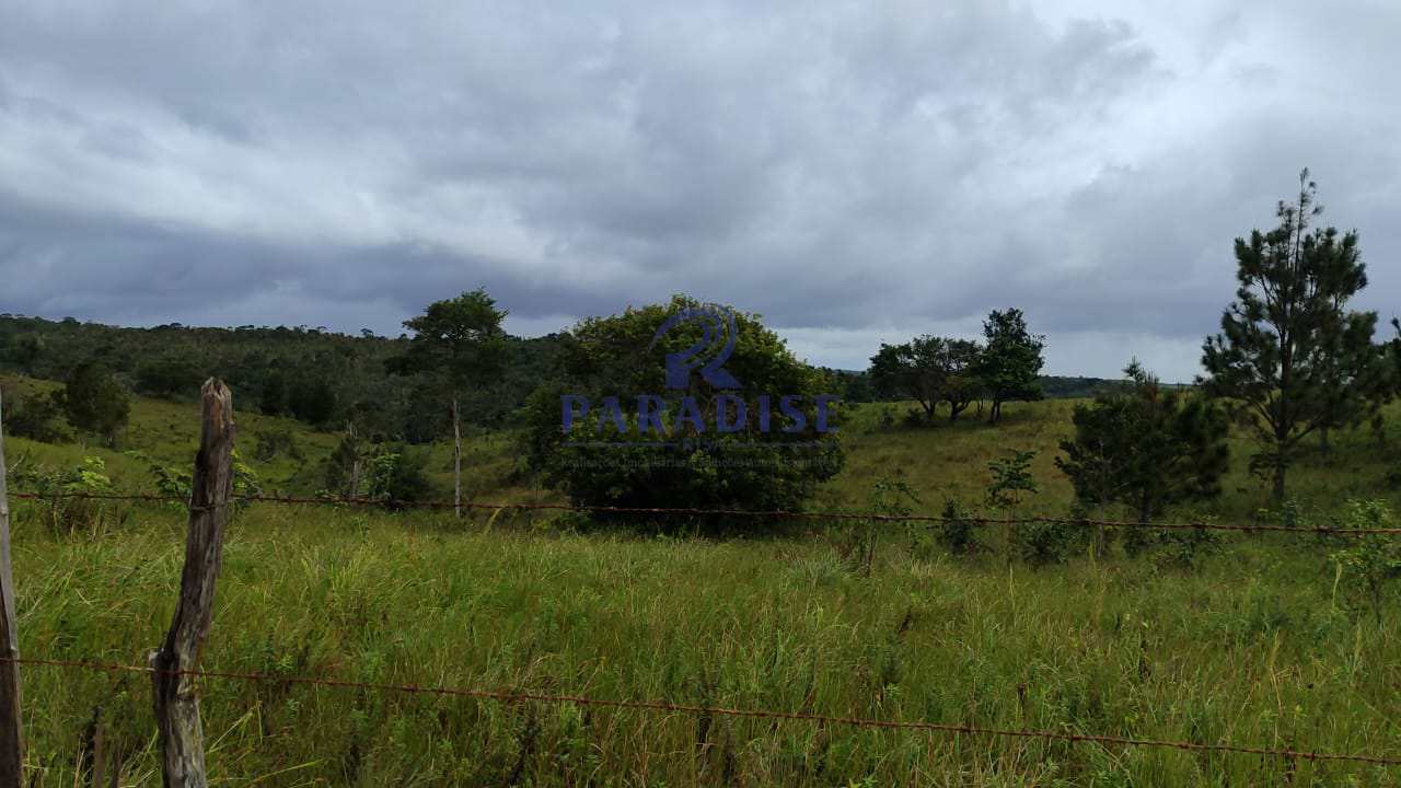 Fazenda à venda com 2 quartos, 120000m² - Foto 14