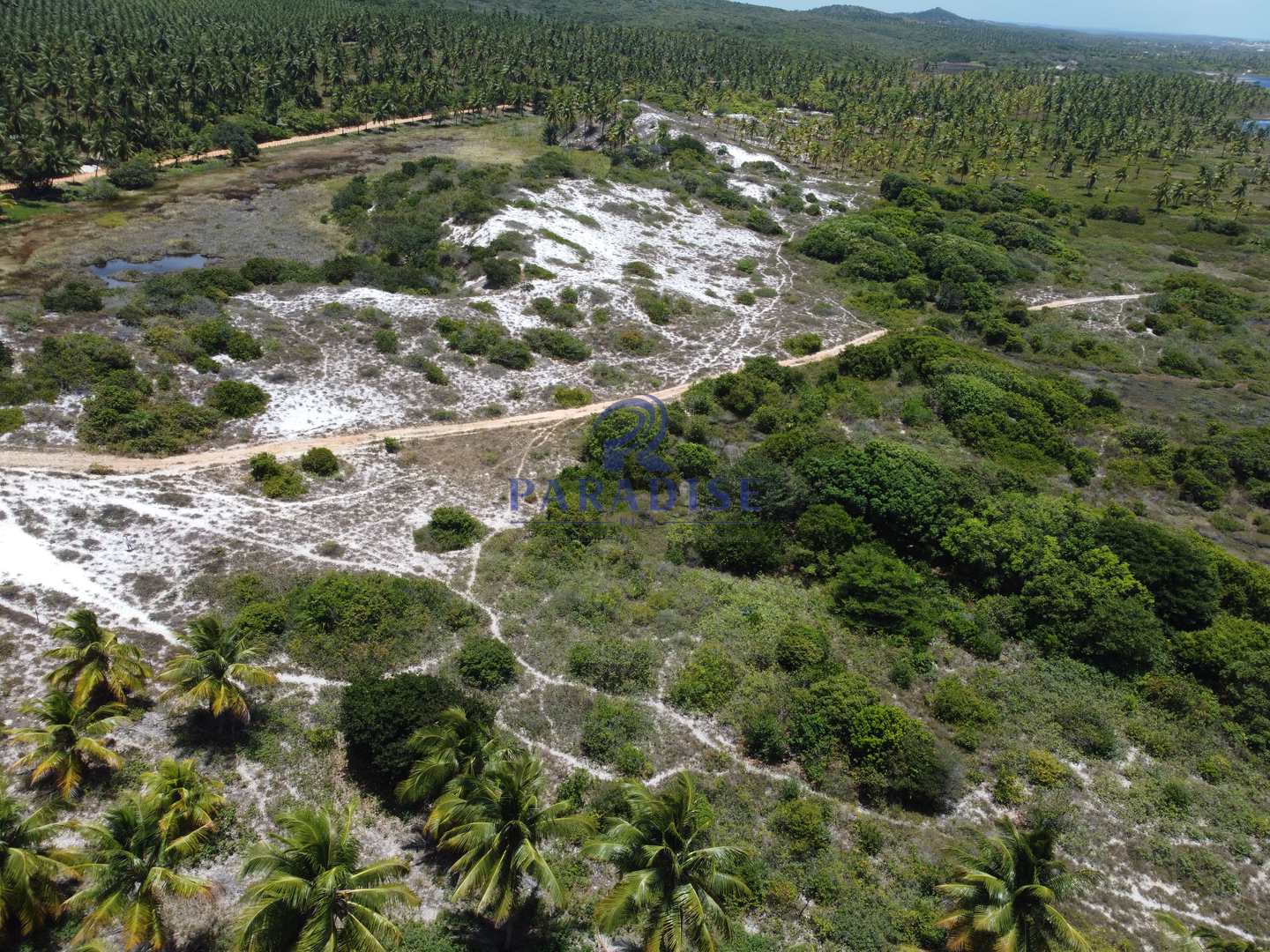 Terreno à venda, 162900m² - Foto 15