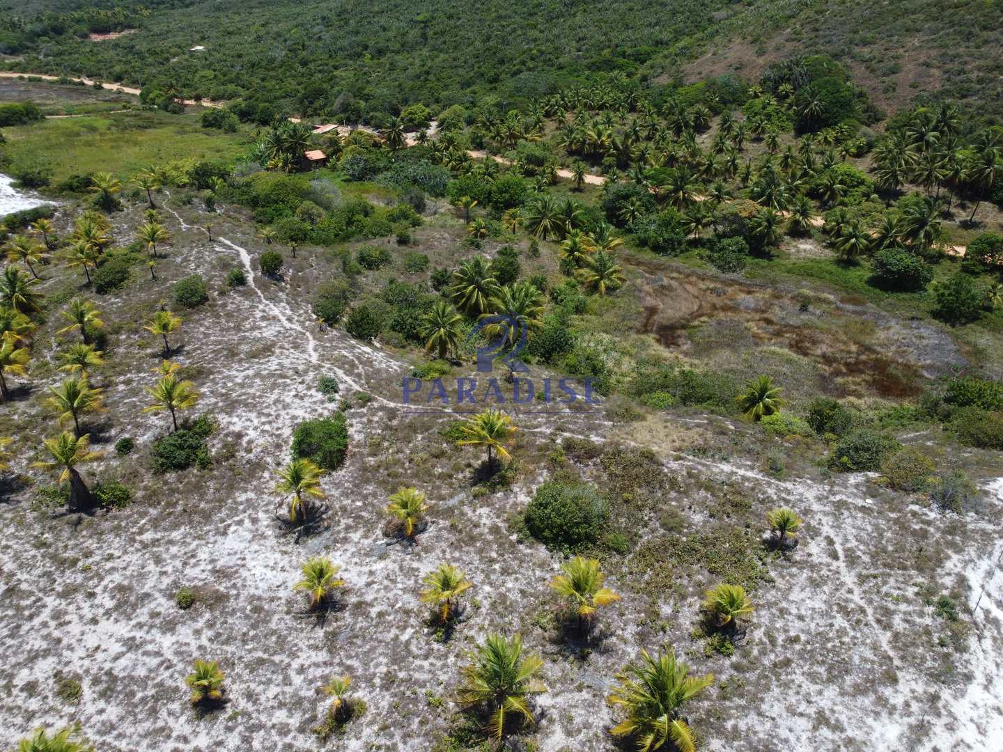 Terreno à venda, 162900m² - Foto 14