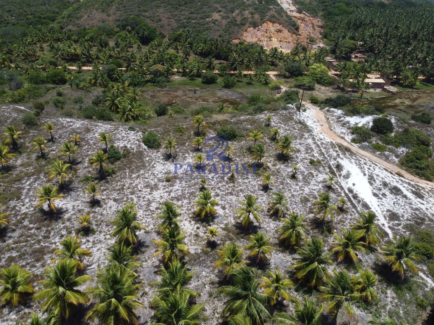 Terreno à venda, 162900m² - Foto 17