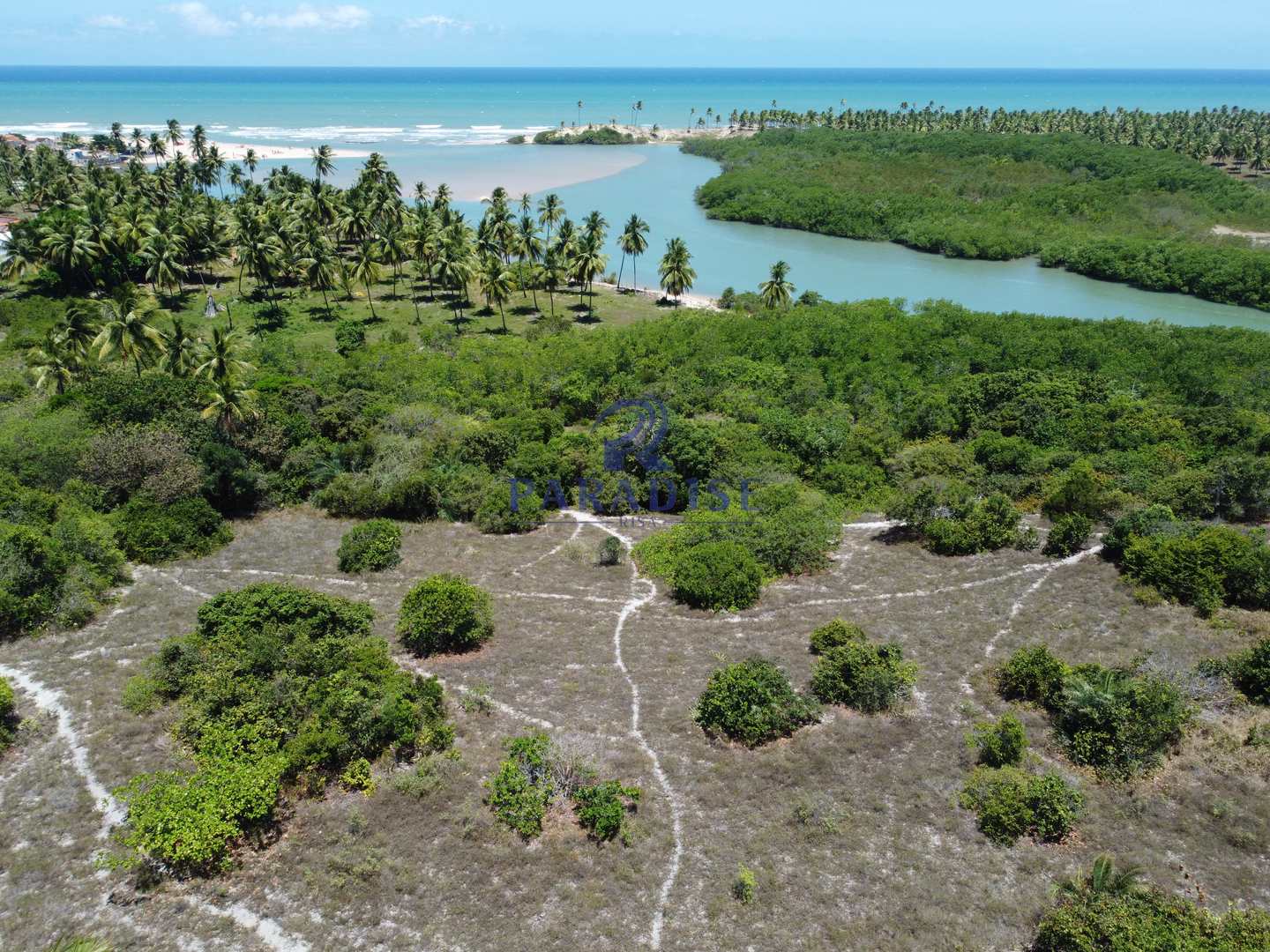 Terreno à venda, 36000m² - Foto 13