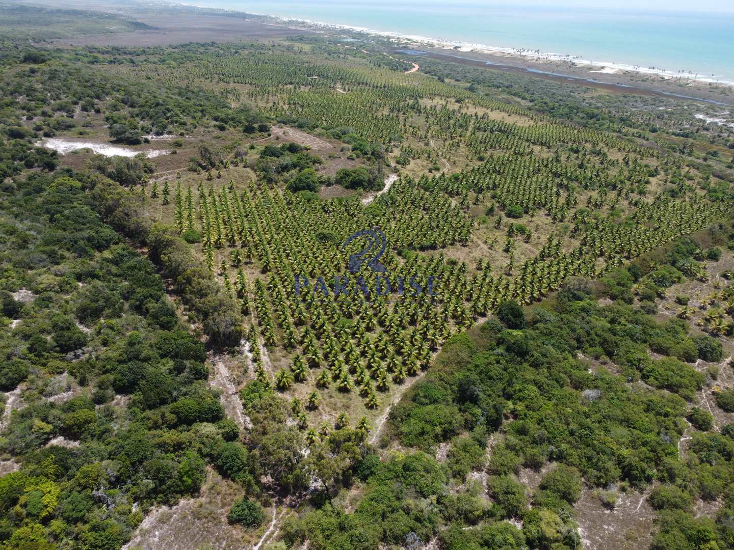 Fazenda à venda, 640000m² - Foto 6