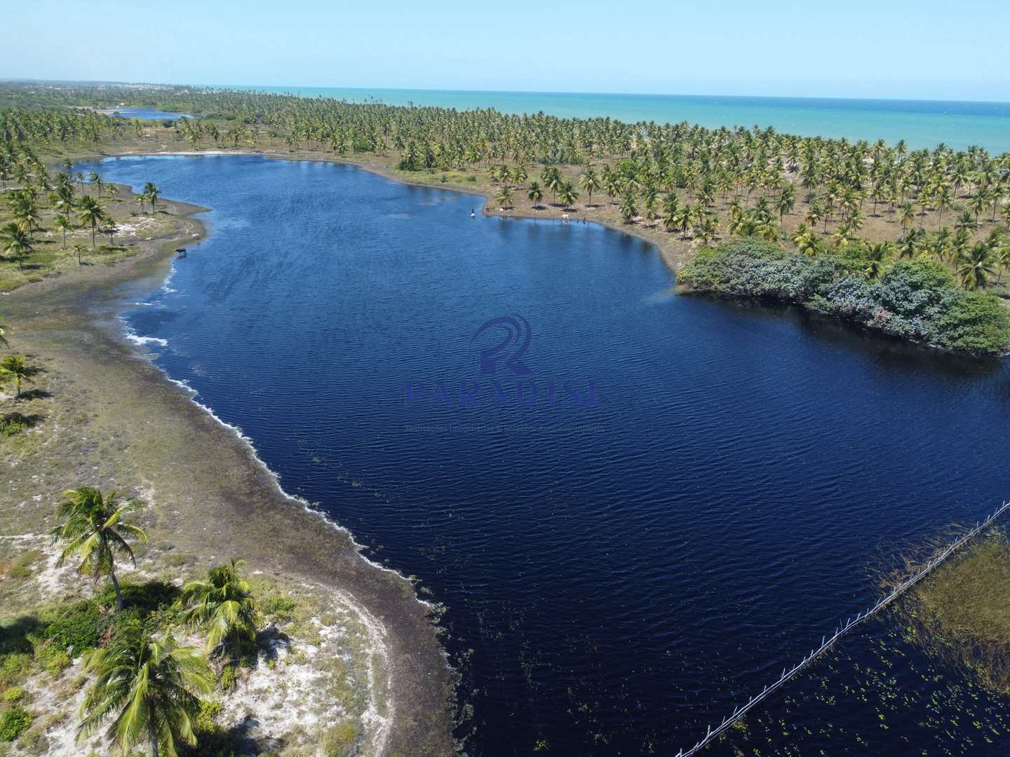 Terreno, 44 hectares - Foto 2