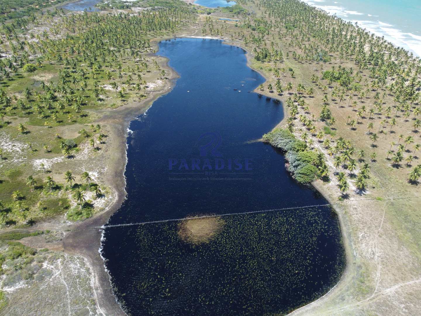 Terreno, 44 hectares - Foto 5